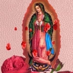 Meet your Posher, Griselda